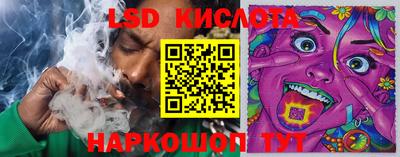 шишки Чебоксары